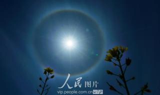 太阳周围有一圈彩虹
